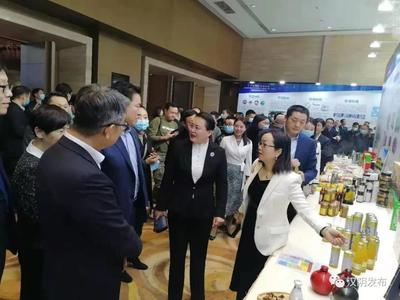 劉飛霞帶隊參加安康市名優特色產品走進廣東(中山)暨重點合作項目推介會