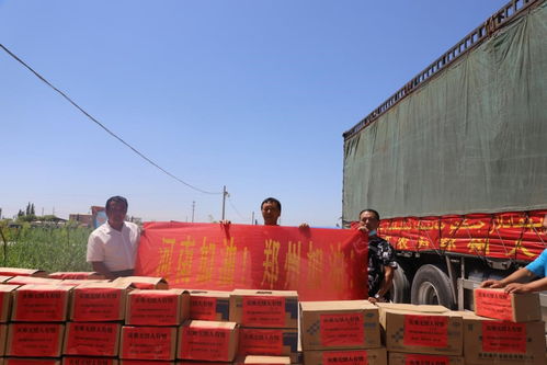 風雨同舟 攜手同行 統一戰線向災區捐助 愛心馕