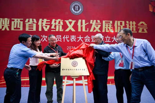 聚合力量弘揚傳統文化 陜西省傳統文化發展促進會西安成立