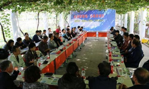 品灞橋葡萄 話最美城區 灞橋區舉辦統一戰線2017國慶 中秋聯誼會