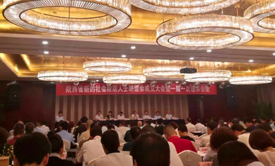 正衡集團董事長雷華鋒當選陜西省新的社會階層人士聯(lián)誼會會長