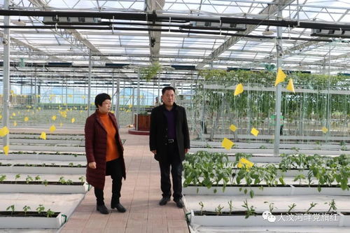 縣委統戰部主任科員袁學敏到軍屯鄉調研統戰工作