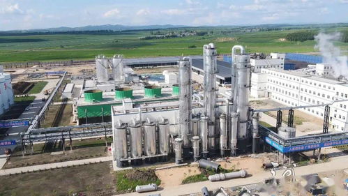 黑龍江省農產品深加工企業開足馬力趕訂單