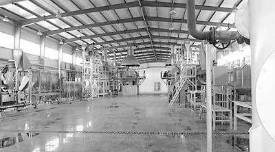 陜西榆林 定邊馬鈴薯 特色產業帶動農民致富