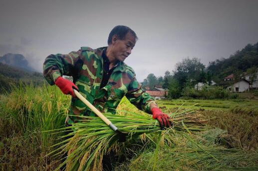 2020年陜西省 統戰宣傳基層行
