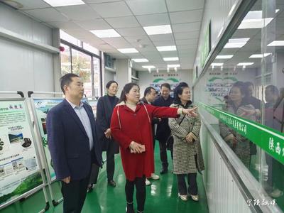 英國陜西商會走進寧陜考察促合作