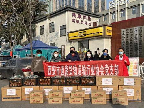 公益傳播 古都封城記 陜西省統一戰線同心抗疫紀實 中國企業報