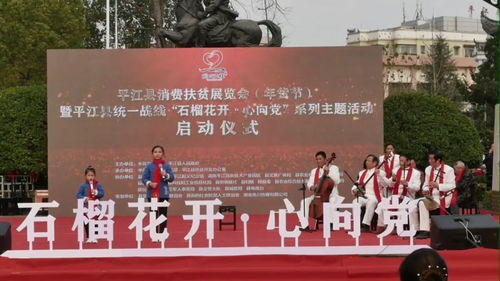 平江縣消費扶貧展覽會 年貨節 暨平江縣統一戰線 石榴花開 心向黨 系列主題活動正式啟動