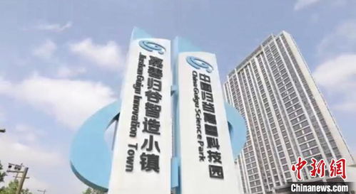 春風(fēng)化雨孜孜十載 記浙江統(tǒng)一戰(zhàn)線助推嘉善高質(zhì)量發(fā)展