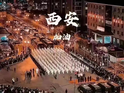 公益傳播 古都封城記——陜西省統一戰線同心抗疫紀實